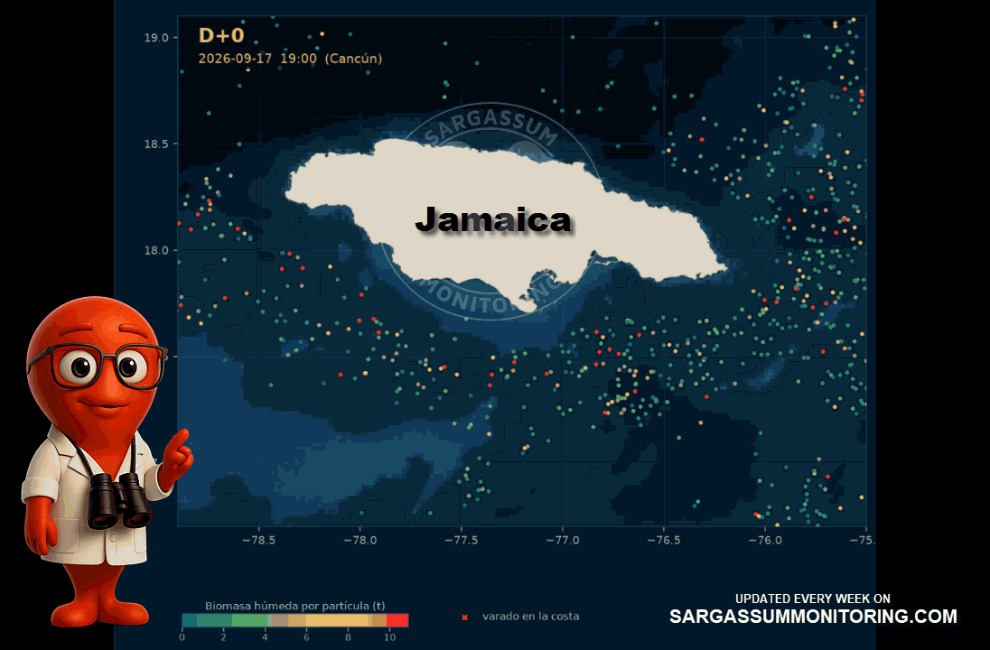 jamaica-sargassum-forecast-sargazo-pronosticos