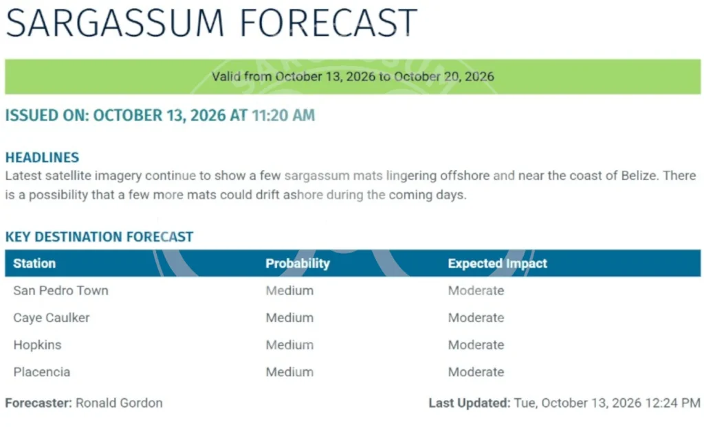 Belize-sargassum-forecast-sargasse-sargazo-sargassum monitoring-14-10-2026