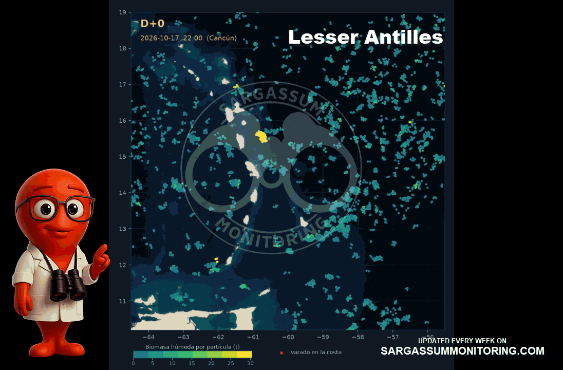 Lesser Antilles-sargassum-forecast-sargazo-pronosticos
