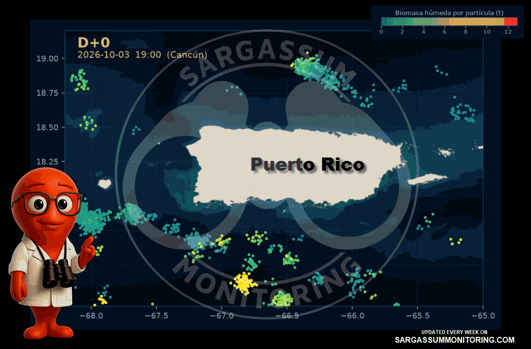 puerto-rico-sargazo-pronosticos