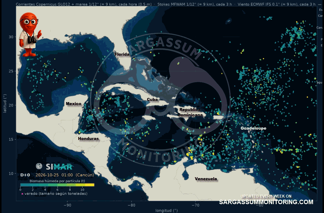 sargazo-sargasses-sargassum - Sargassum Monitoring - SATSUM- CONABIO - Copernicus satellite map showing floating sargassum density across the Atlantic Ocean, Caribbean Sea and Gulf of Mexico - Sargassum forecast - pronostico sargazo - prevision sargasse - october 28/2026