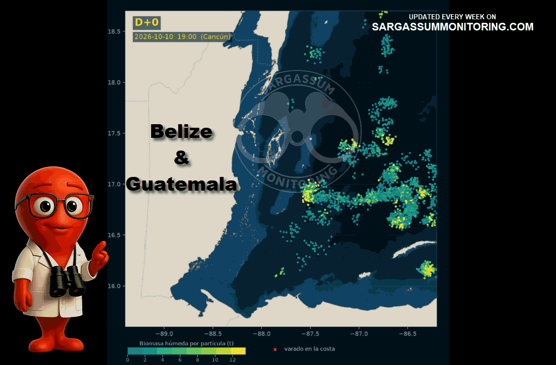 belize-belice-sargassum-forecast-sargazo-pronosticos