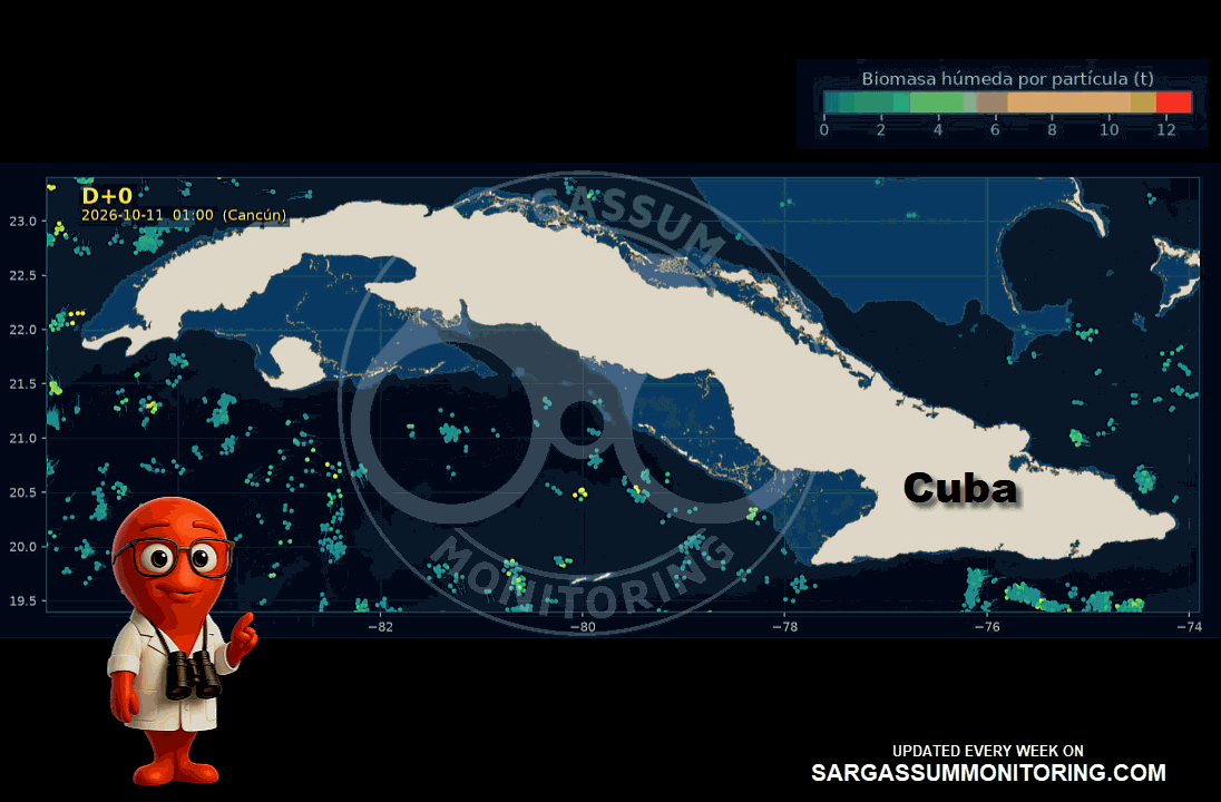 cuba-sargassum-forecast-sargazo-pronosticos