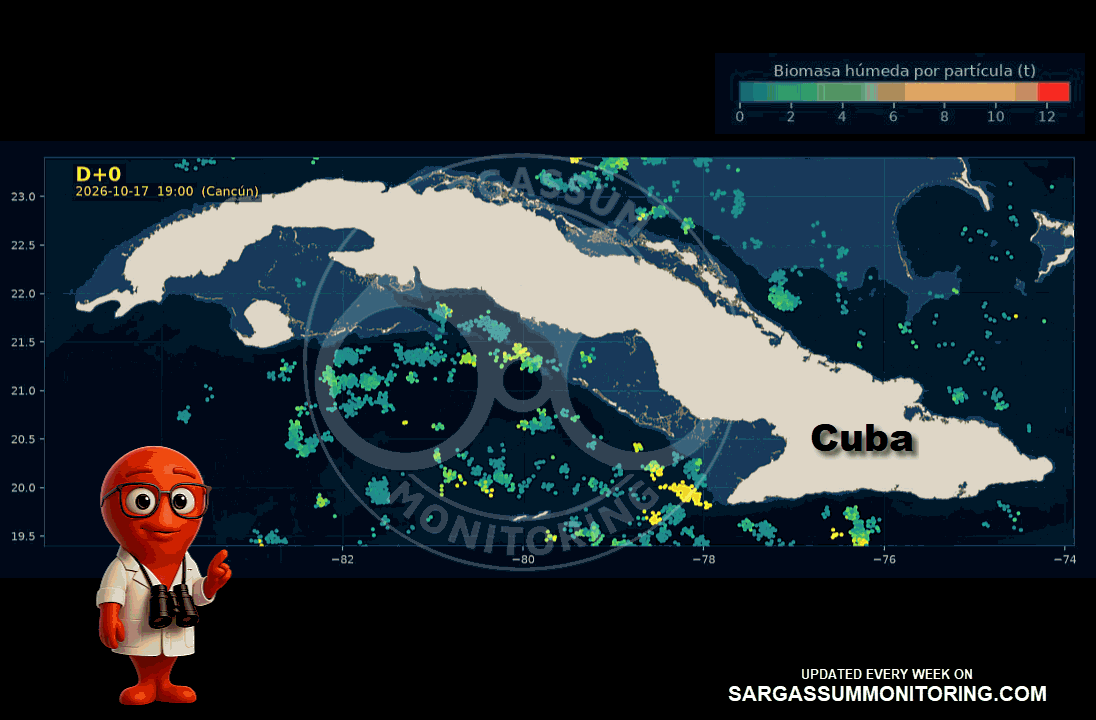 cuba-sargassum-forecast-sargazo-pronosticos