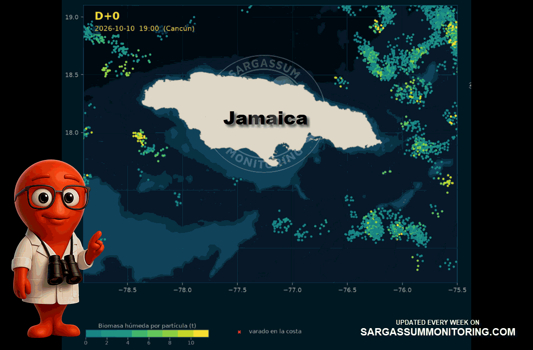 jamaica-sargassum-forecast-sargazo-pronosticos
