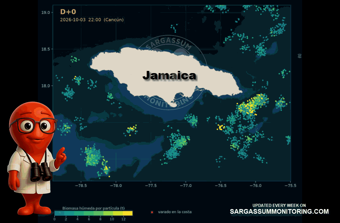 jamaica-sargassum-forecast-sargazo-pronosticos