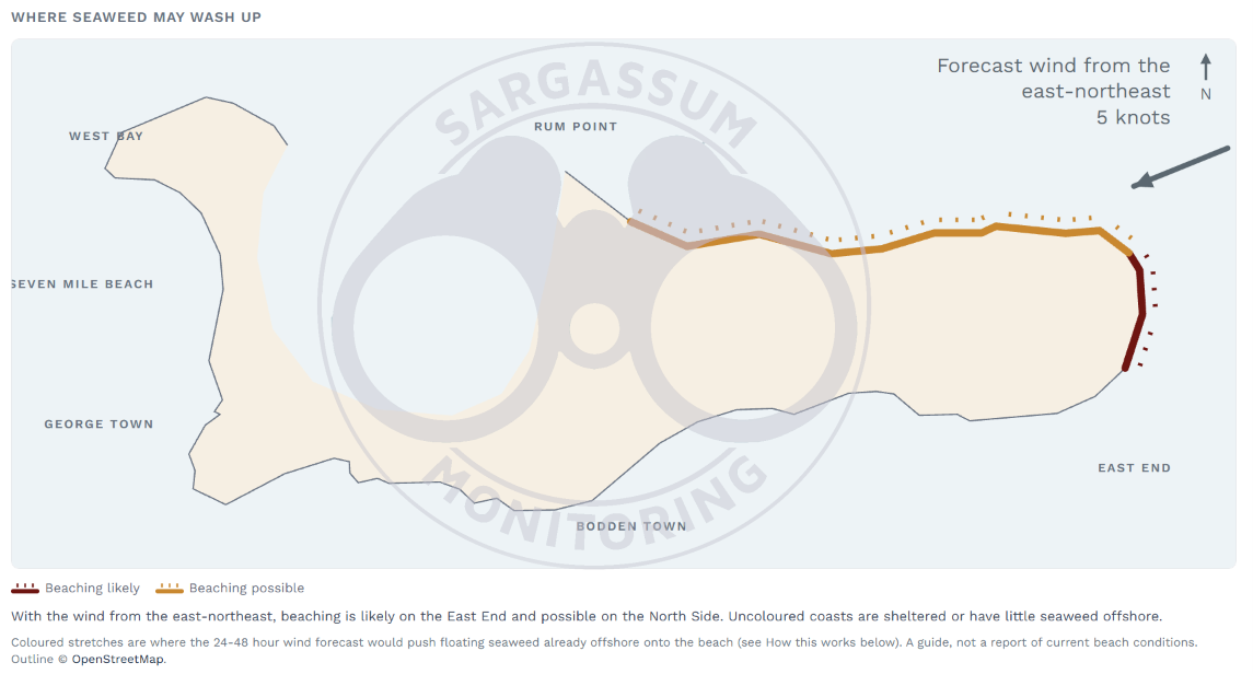 sargassum-forecast-cayman-islands-2-22-10-2026