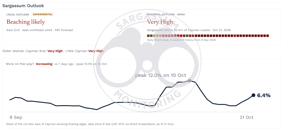 sargassum-forecast-cayman-islands-22-10-2026